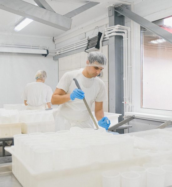 food processing heat exchangers